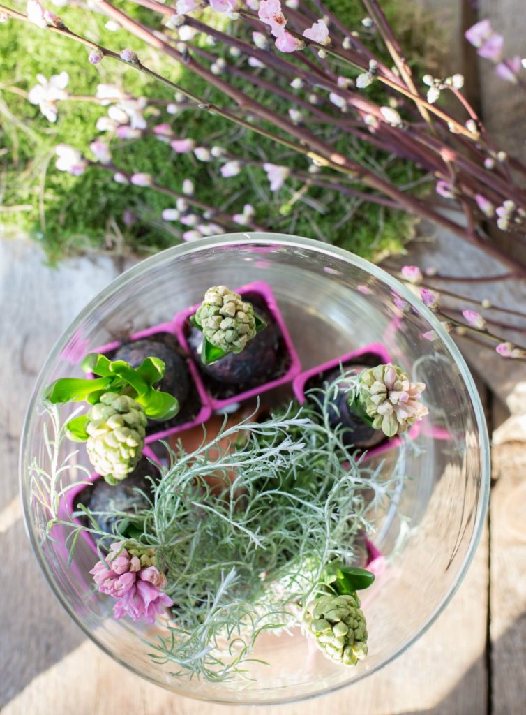 Frühlingsblumen DIY - Dekoriere in Glasvasen hübsche Hyazinthen 